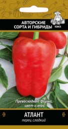 Перец Атлант (Поиск)