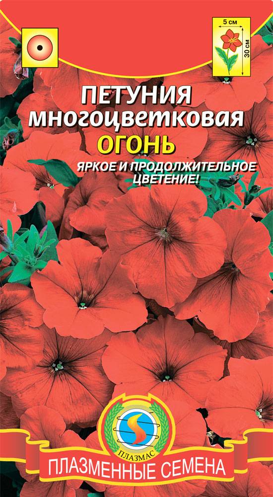 Плазменные семена. Петуния многоцветковая семена. Петуния огонь многоцветковая. Петуния многоцветковая пламя. Петуния многоцветковая лососевая семена.