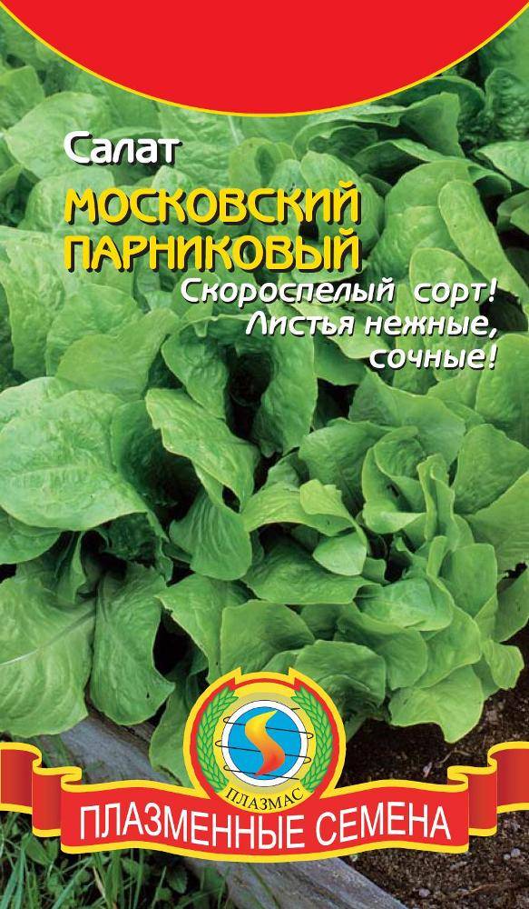 Салат листовой сорта для открытого. Салат листовой Московский парниковый. Салат Московский парниковый. Семена салат Московский парниковый. Семена салата листового.