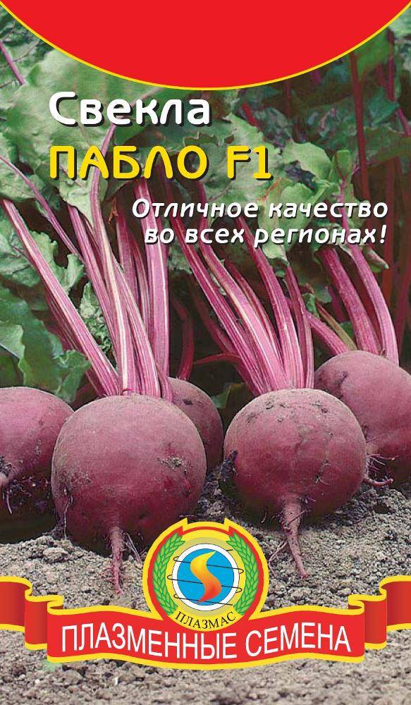 Семена свекла пабло. Свекла Пабло f1. Семена свеклы Пабло. Семена свеклы голландской селекции.