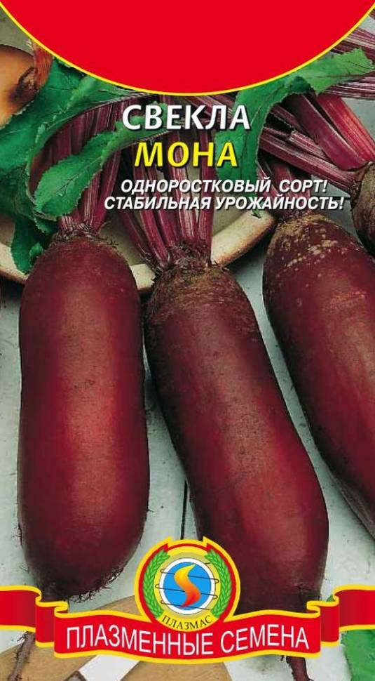 Где Можно Купить Семена Свеклы