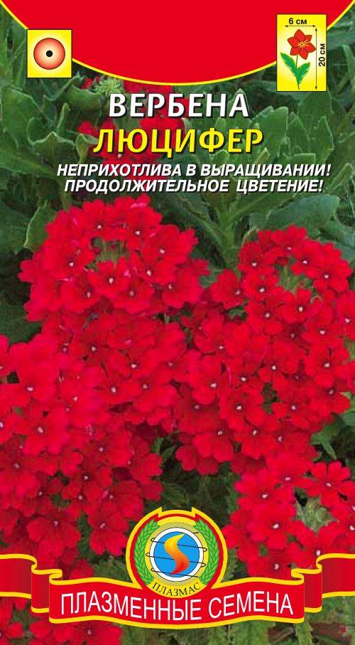 Вербена Профессиональные Семена Купить Оптом