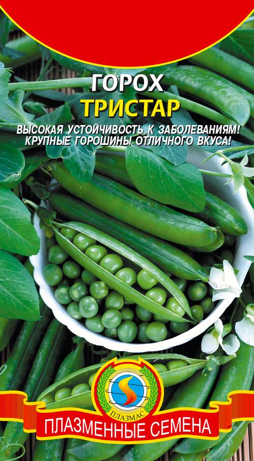 Горох Телефон Купить Семена